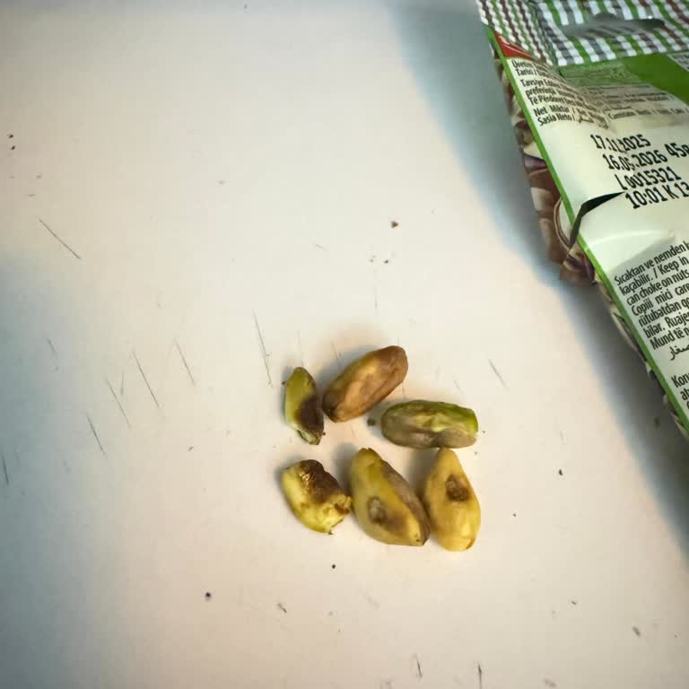 Kötü Kokulu Ve Kurtlanmış Antep Fıstıklarıyla Sağlık Ve Güven Endişesi