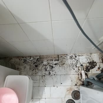 Çoklu Arıza Ve Dış Çürüme Yaşayan Hoover Çamaşır Makinesinin Garanti Kapsamında İade Talebi