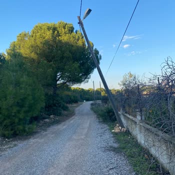 Akdeniz Elektrik Dağıtım Kırık Aydınlatma Direği Onarılmıyor!