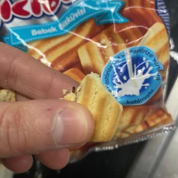 Eti Cici Bebe Bisküvisinde Böcek Bulunması Sağlık Endişesi