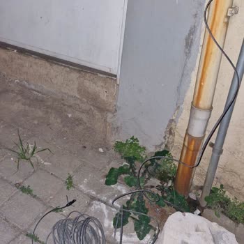 Superonline Bina Girişindeki Kablolar Dağınık Bırakıldı, Acil Düzeltme Talebi