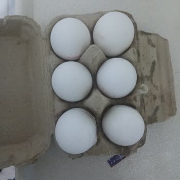 Eksik Ve Hasarlı Sipariş, Kedi Maması Gelmedi, Çözüm Sunulmadı