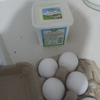 Eksik Ve Hasarlı Sipariş, Kedi Maması Gelmedi, Çözüm Sunulmadı