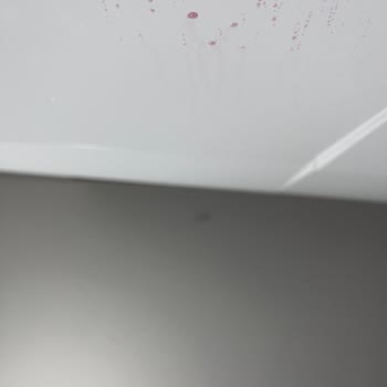 Stanley Termosunun Patlaması Ve Mutfak Maddi Hasarı!