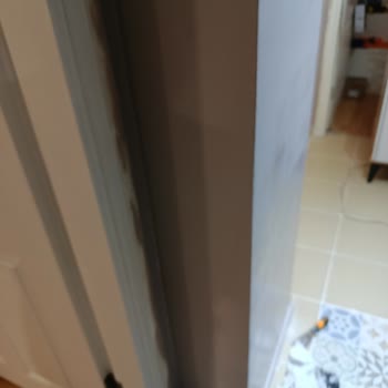 Pintura Marshall no coincide con el color y causa burbujas en pared