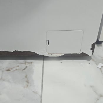 Beko Çamaşır Makinesinde Boya Dökülmesi Ve Paslanma Sorunu