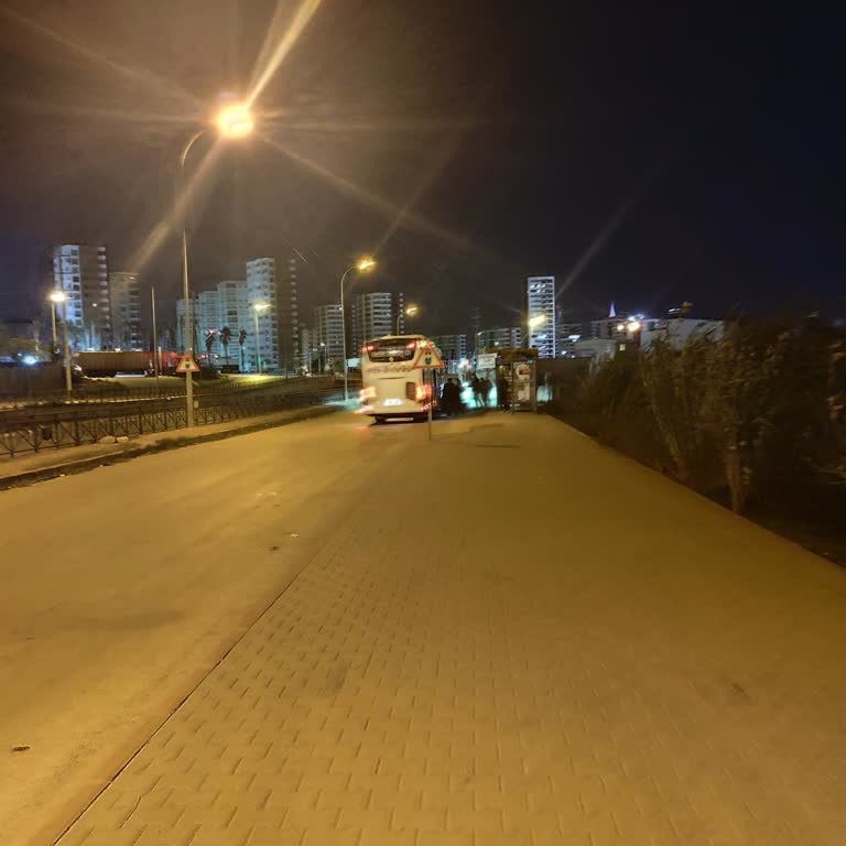 Otogara Girmeyen Otobüs Bizi Issız Bir Yerde Bıraktı Ve Servis Ücreti İstedi