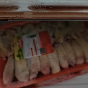 Derin Dondurucu Arızasıyla Gıda Ve Halı Zararım İçin Yetersiz Tazminat Teklifi