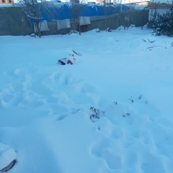 İdil'de Kar Temizliği Ve Tuzlama Yapılmadığı İçin Yollar Tehlikeli