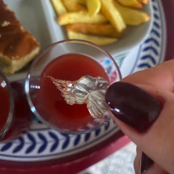 BİM İçinde Jelatin Parçası Bulunan Meyve Suyu İçin Gıda Güvenliği Şikayeti Ve Tazminat Talebi