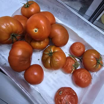 Sebzeleri Çabuk Çürüten Samsung Gardırop Tipi Buzdolabı İçin Değişim Talebi