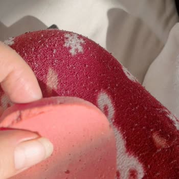 Beyaz Kıllı Tavuk Salamı Hijyen Sorunu