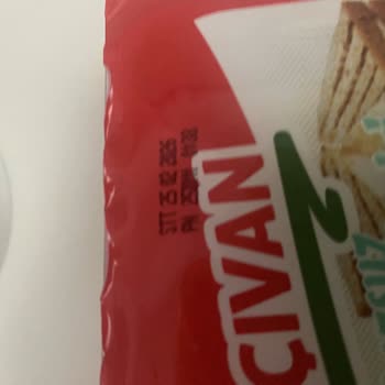 Küflü Tost Peyniri: Bahçıvan Markasına Güvenim Sarsıldı