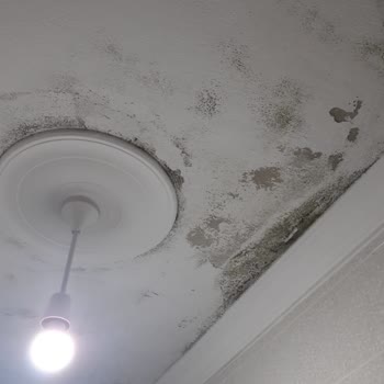 Axa Sigorta'dan Eksik Tavan Hasar Ödemesi