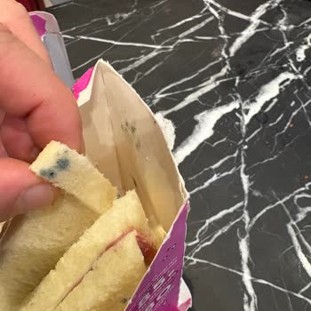 Küflü Sandviç Ve Dardanel’in İhmalci Yaklaşımı