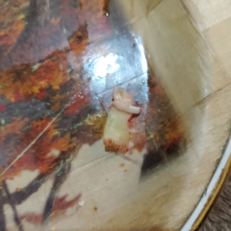 Superfresh King Boy Pizza’da Yabancı Cisim