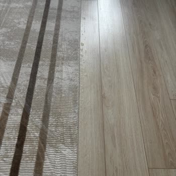 Aşırı Ağır Ve Zayıf Çekim Gücündeki Halı Koltuk Yıkama Makinesinin İade Reddi Ve Geri Ödeme Talebi