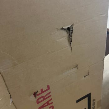 Zara Home Ürün Teslimatı Aylık Gecikme Ve Müşteri Hizmetlerinin Cevapsızlığı