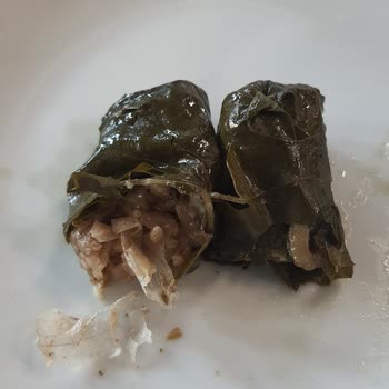 IKEA Restoranında Yemeğe Karışan Plastik Poşet Parçası