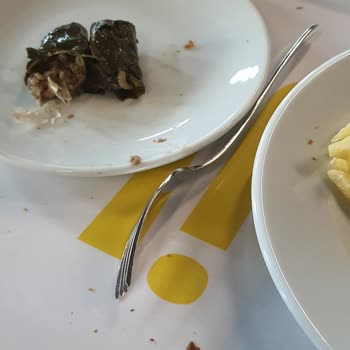 IKEA Restoranında Yemeğe Karışan Plastik Poşet Parçası