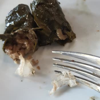 IKEA Restoranında Yemeğe Karışan Plastik Poşet Parçası