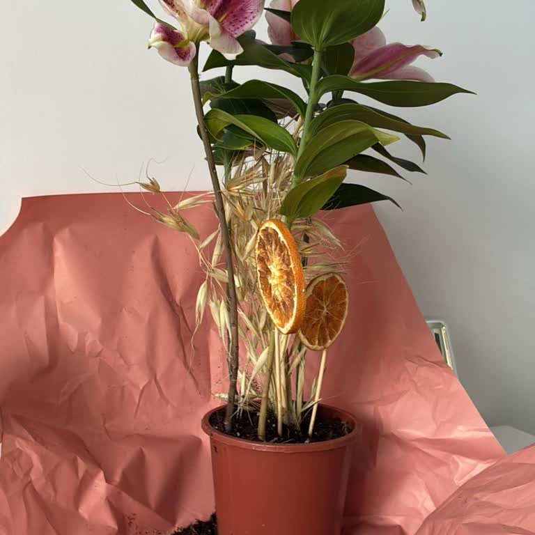 Taze Çiçek | Tazecicek.com Kırık Çiçek Ve Görselden Farklı Süsleme İçin Telafi Talebi