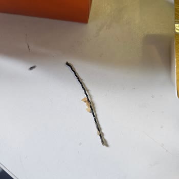 Burgerde Metal Çubuk Bulunması Sağlık Ve Hijyen İhlali