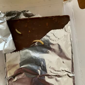 Vince Antep Fıstıklı Çikolatada Kurtlu İçerik Ve Hijyen Sorunu