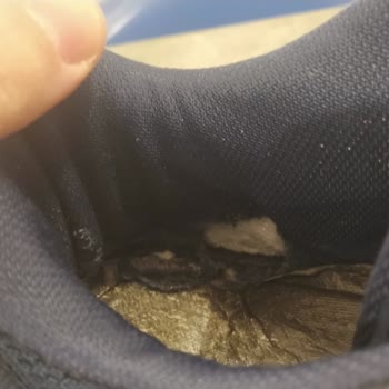 Kısa Sürede Deforme Olan Discovery Expedition Ayakkabısı İçin Boyner’den Ürün Değişimi Talebi!