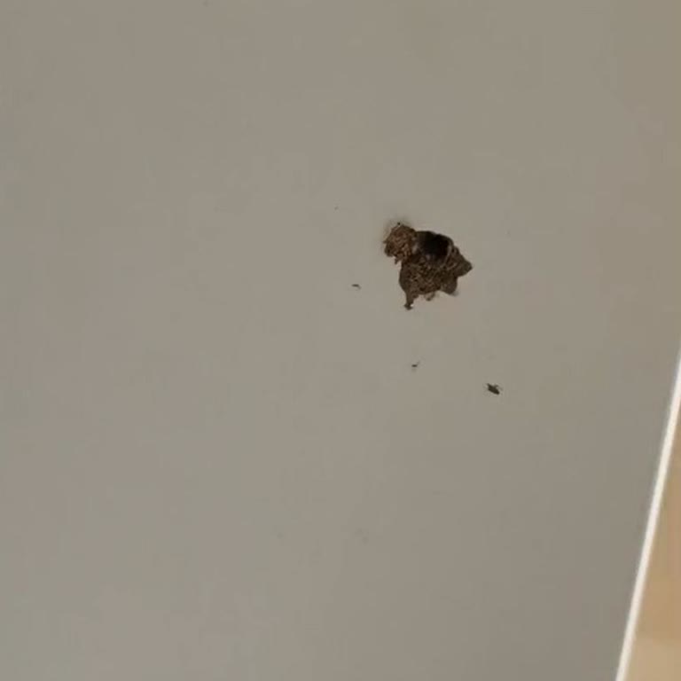 Vida Yerleri Gevşek Olan IKEA Ayakkabılık Üretim Hatası Nedeniyle Kullanılamaz