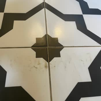 Bissell Crosswave C3 Hayal Kırıklığı!