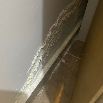 Esenyurt Maximoon Evleri’nde Asansör Arızaları Ve Temizlik Sorunları