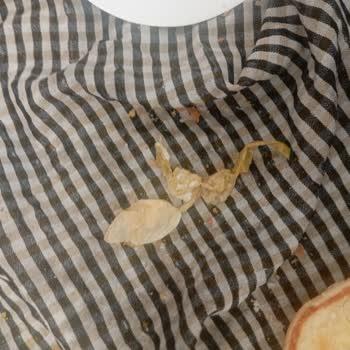 Çürük Ve Bayat Burger Menüsü: Hijyen Sorunu Ve İade Talebi