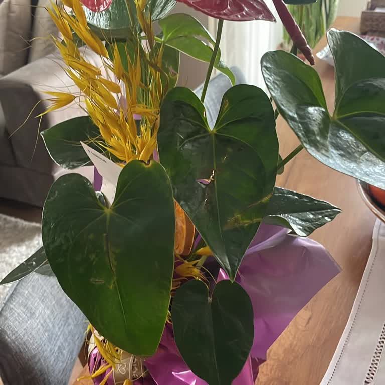 Taze Çiçek | Tazecicek.com Görseliyle Uyuşmayan Ve Yırtık Çiçekli Hediye: Hayal Kırıklığı