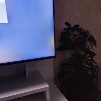 Vestel Televizyonunda Işık Sızması Ve Servisin Sorun Yok Deyişi