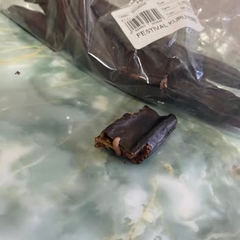 Festival Kuruyemiş Kayseri Şubesinde Keçi Boynuzunda Kurt Bulunması