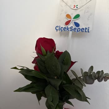 İsimsiz Çiçek Teslimatı Ve İletişim Sorunları