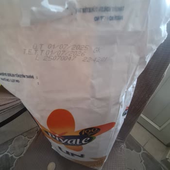 Şok Market Piyale Ununda Böcekli Ürün Şoku