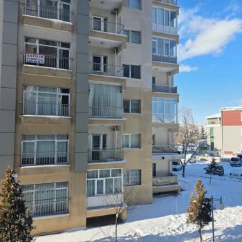 Üç Günlük İkame Araç Hakkım Reddedildi, Sağlık Sorunum Göz Ardı Edildi