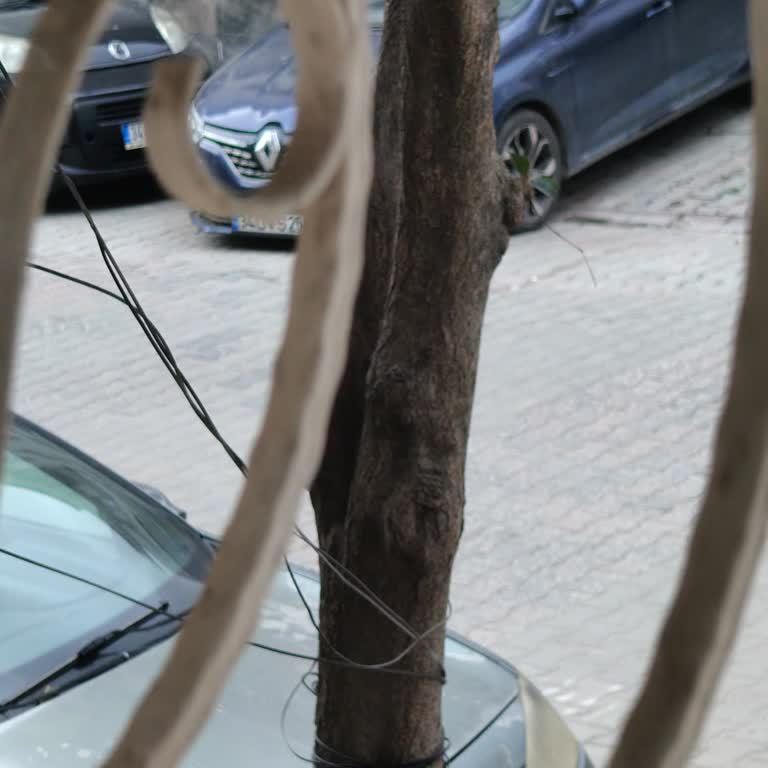 TurkNet’te İnternetsiz Kalma Ve Net Onarım Tarihi Talebi