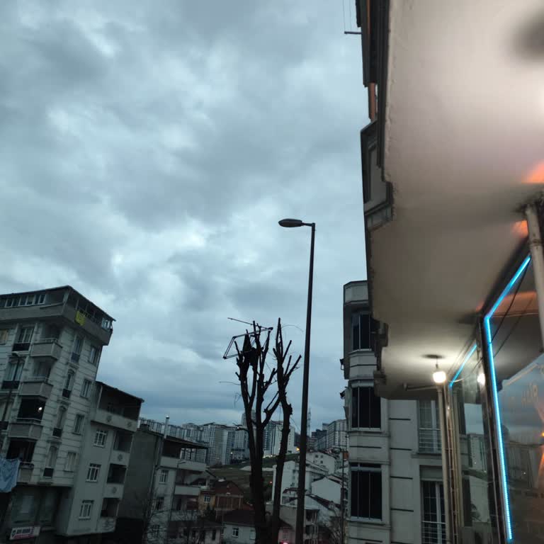 CK Boğaziçi Elektrik Sokak Aydınlatması Talebine Cevap Yok, Şirket İlgisiz Ve Mağdur Ediyor