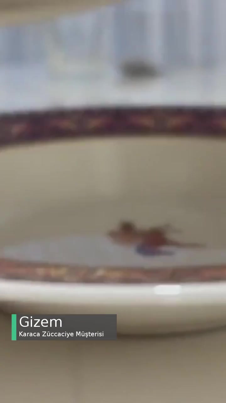 Karaca Ürün Standardı videonun kapak resmi