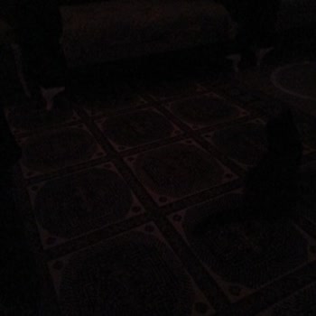 Beylikdüzü’nde Kışın Sürekli Uzun Elektrik Kesintileri Aileyi Tehdit Ediyor