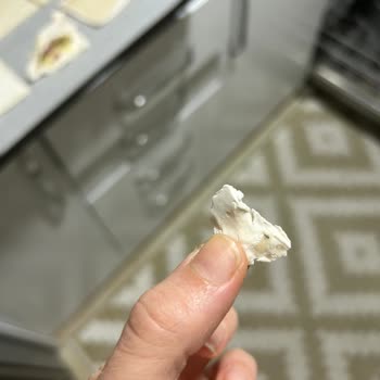 Pınar Milföyden Tarantulaya Benzer Böcek Çıktı