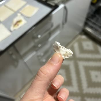 Pınar Milföyden Tarantulaya Benzer Böcek Çıktı