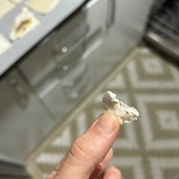 Pınar Milföyden Tarantulaya Benzer Böcek Çıktı