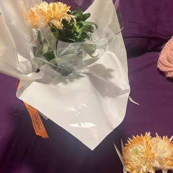 Sipariş Edilen Çiçek Yanlış Ve Hasarlı Geldi, Vazo Eksik