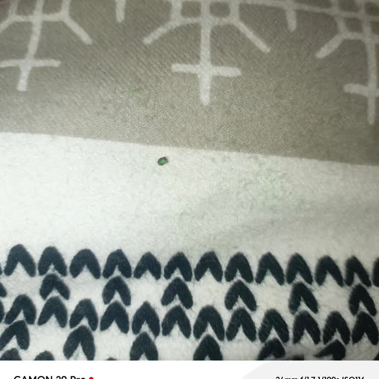 Jox Maxi Ürünün İçinde Sert Siyah Yabancı Madde Bulundu