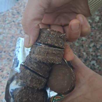 Ülker Halley Ürünün İçinde Kurt Çıktı, Son Kullanma Tarihi Geçmemiş