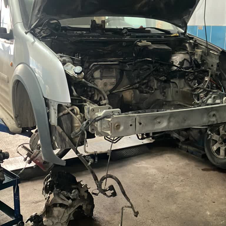 Betmarino’da Kazancım Açıklama Olmadan Silindi Ve Çekim Talebim Reddedildi